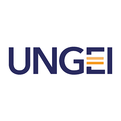 UNGEI logo compressed